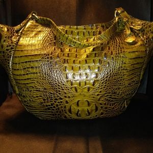 Brahmin